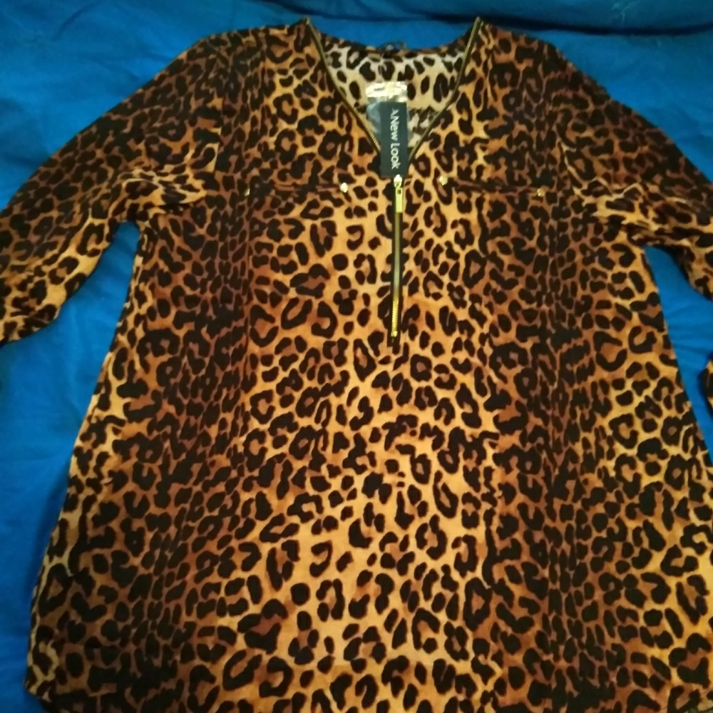 Dress Shirt